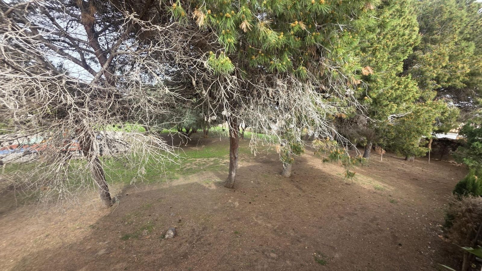 2 soverom Rekkehus til salgs i Torrevieja med svømmebasseng garasje - € 157 990 (Ref: 9677426)