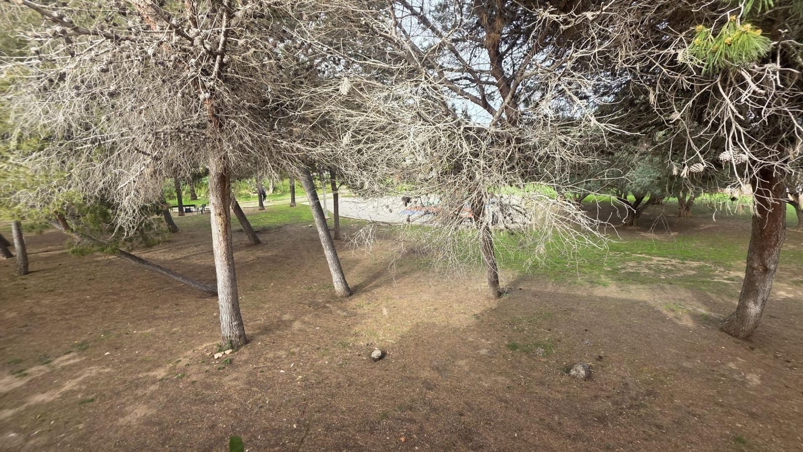 2 soverom Rekkehus til salgs i Torrevieja med svømmebasseng garasje - € 157 990 (Ref: 9677426)