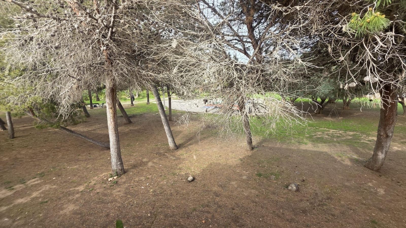 2 bedroom Terraced Villa for sale in Torrevieja with pool garage - € 157,990 (Ref: 9677426)