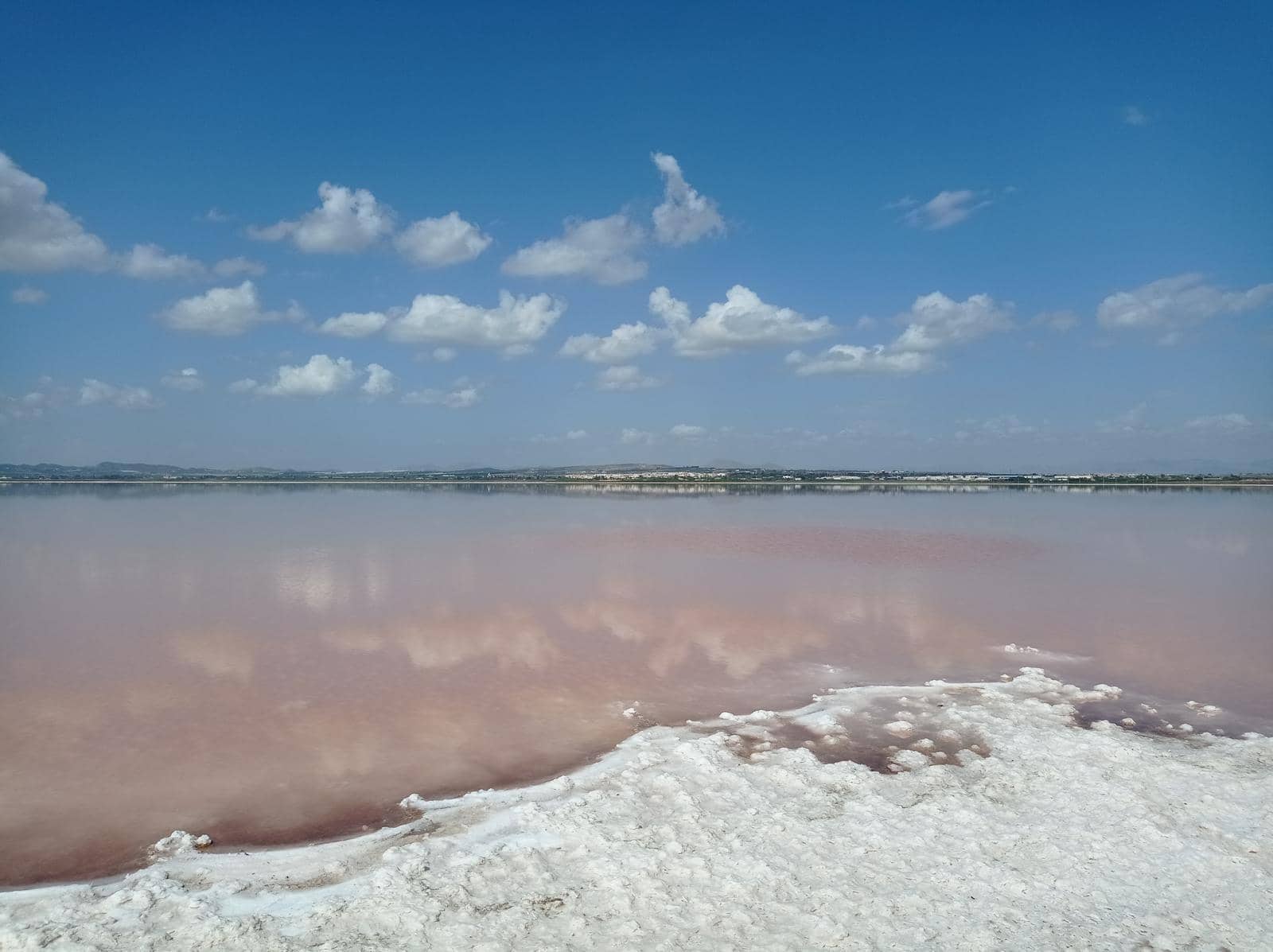 2 sovrum Bungalow till salu i Torrevieja med pool - 139 772 € (Ref: 9726610)