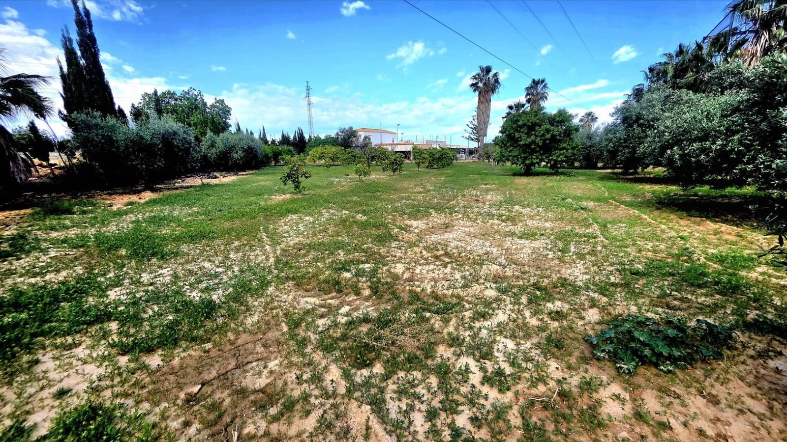 6 soverom Leilighet til salgs i Los Montesinos med svømmebasseng - € 750 000 (Ref: 9794560)