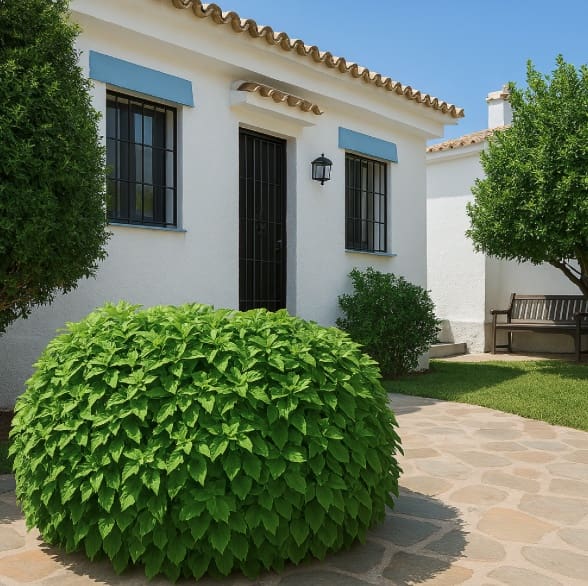 2 soveværelse Byhus til salg i La Duquesa / Puerto de la Duquesa med swimmingpool - € 450.000 (Ref: 9311434)