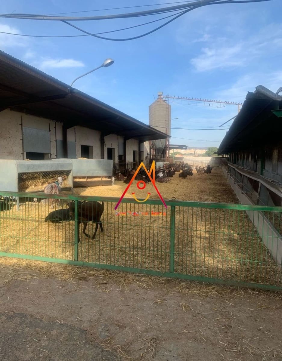 8 bedroom Finca/Country House for sale in Crevillente / Crevillent with pool - € 2,100,000 (Ref: 8059789)