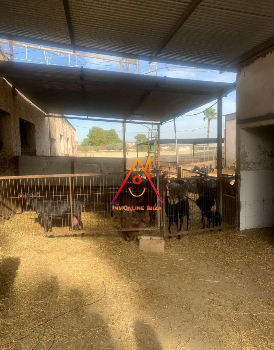 8 bedroom Finca/Country House for sale in Crevillente / Crevillent with pool - € 2,100,000 (Ref: 8059789)