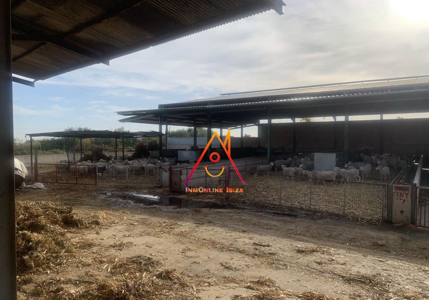 8 bedroom Finca/Country House for sale in Crevillente / Crevillent with pool - € 2,100,000 (Ref: 8059789)