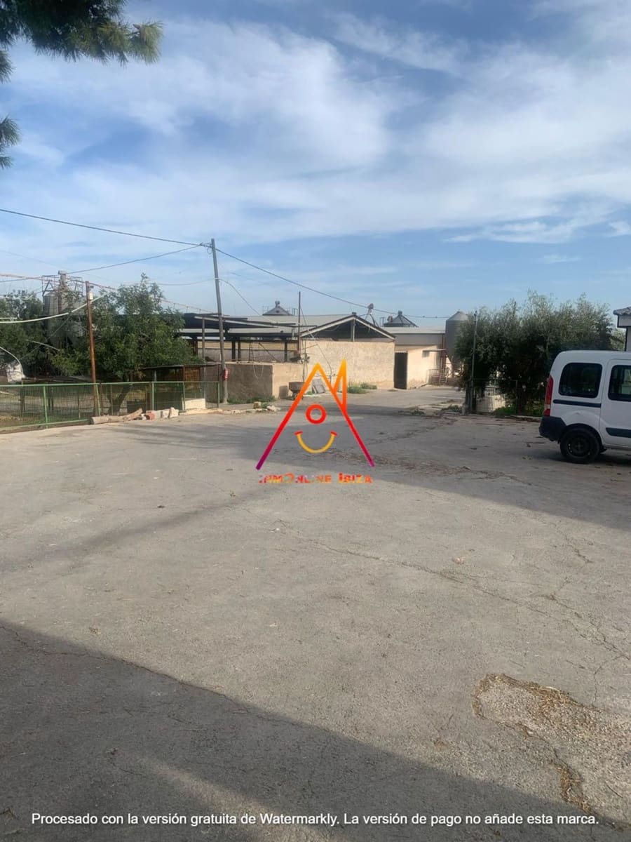 8 bedroom Finca/Country House for sale in Crevillente / Crevillent with pool - € 2,100,000 (Ref: 8059789)