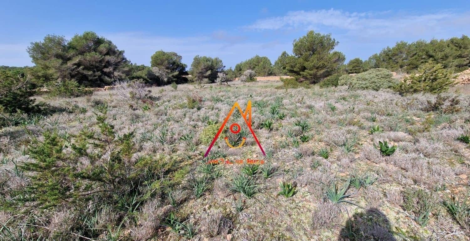 Undeveloped Land for sale in Formentera municipality - € 1,500,000 (Ref: 8332307)
