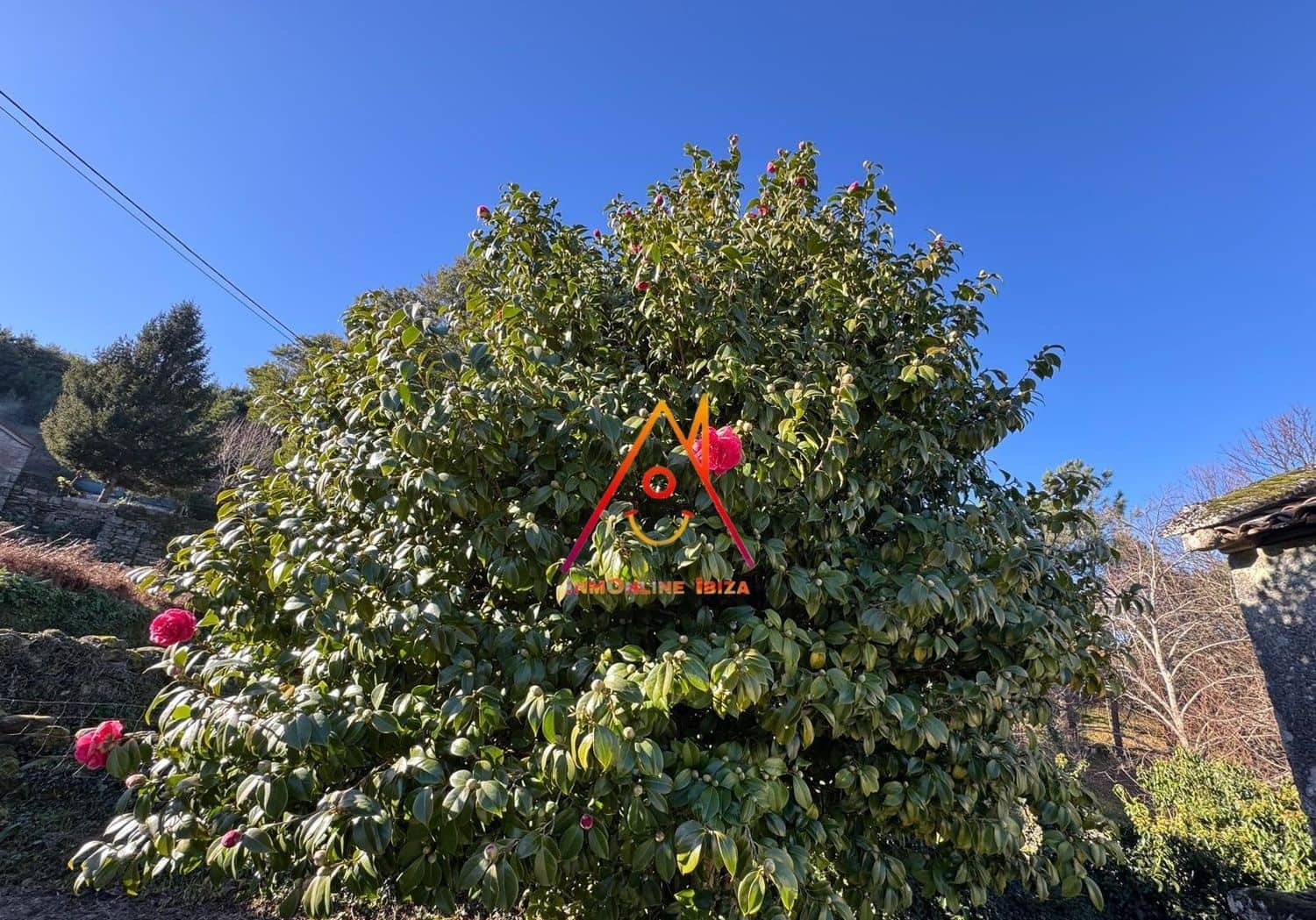 3 bedroom Finca/Country House for sale in Fornelos with garage - € 80,000 (Ref: 8737109)