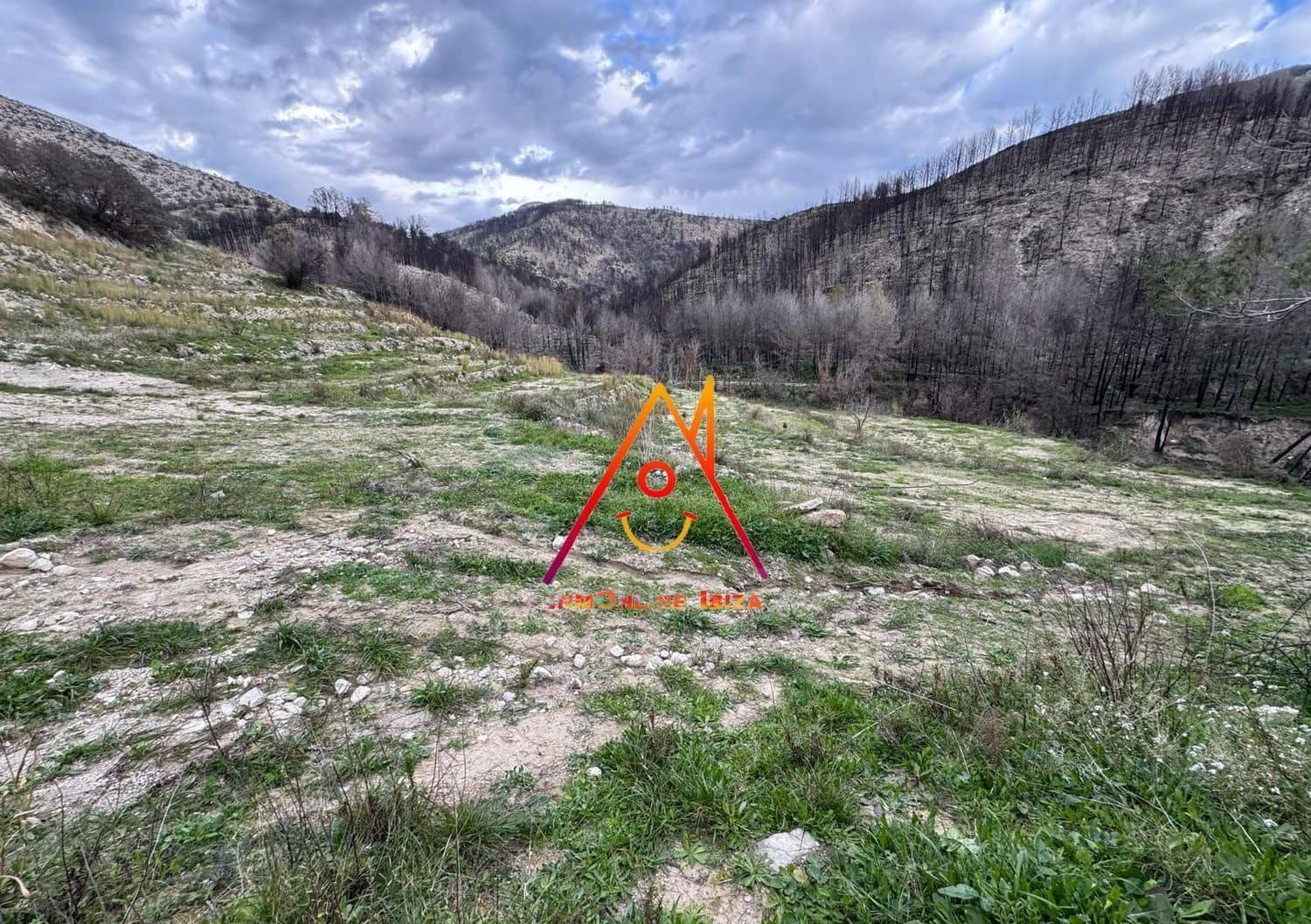 Terreno Non Edificato in vendita in Tarbena - 160.000 € (Rif: 8766406)