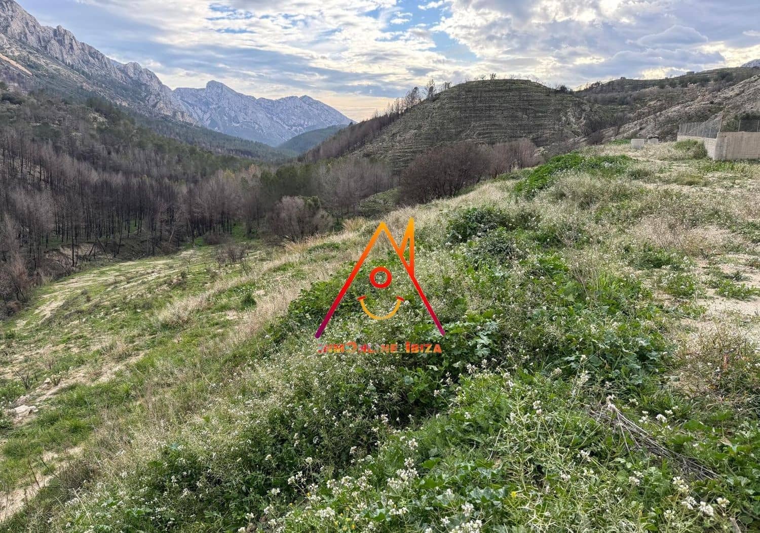 Terreno Non Edificato in vendita in Tarbena - 160.000 € (Rif: 8766406)