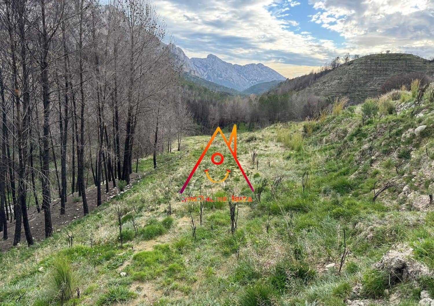 Terreno Non Edificato in vendita in Tarbena - 160.000 € (Rif: 8766406)