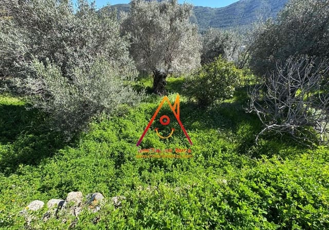 4 bedroom Villa for sale in Parcent with garage - € 495,000 (Ref: 8912585)