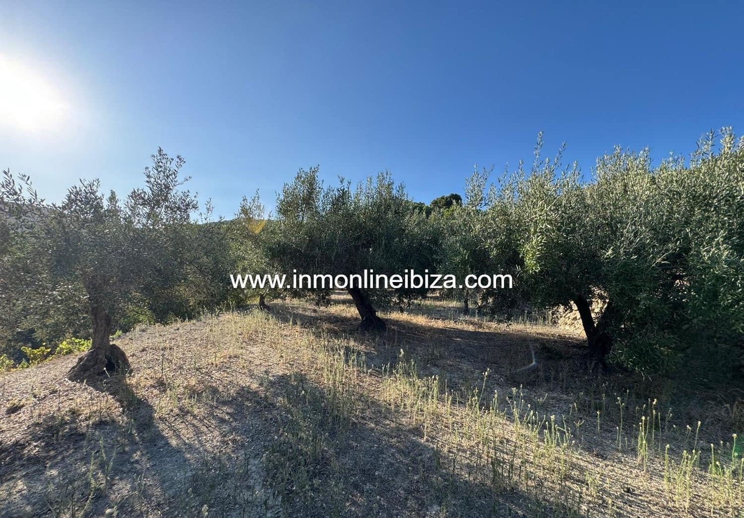 Finca/Casa di Campagna in vendita in Tarbena - 110.000 € (Rif: 9275651)