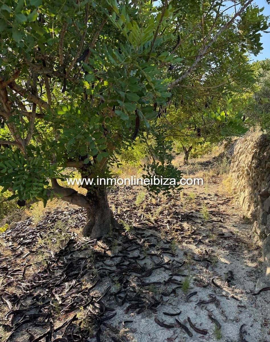 Finca/Casa di Campagna in vendita in Tarbena - 110.000 € (Rif: 9275651)