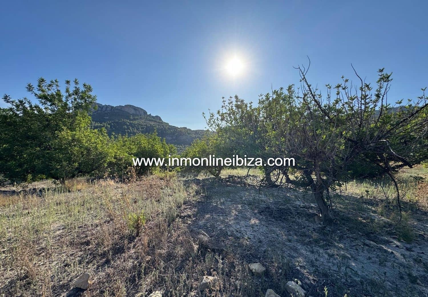 Finca/Casa di Campagna in vendita in Tarbena - 110.000 € (Rif: 9275651)