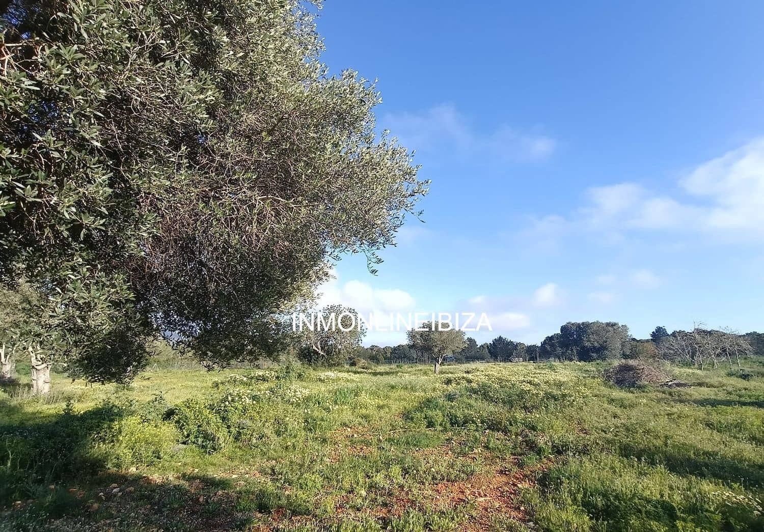 9 sovrum Villa till salu i San Jose / Sant Josep de Sa Talaia med pool garage - 5 500 000 € (Ref: 9694694)