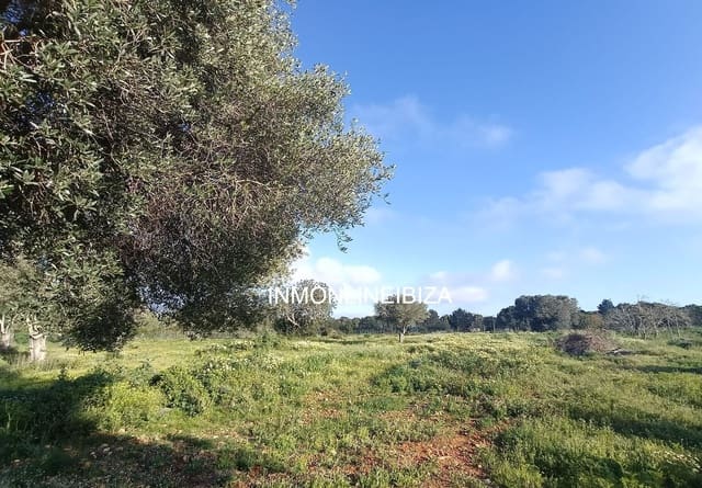 9 sovrum Villa till salu i San Jose / Sant Josep de Sa Talaia med pool garage - 5 500 000 € (Ref: 9694694)