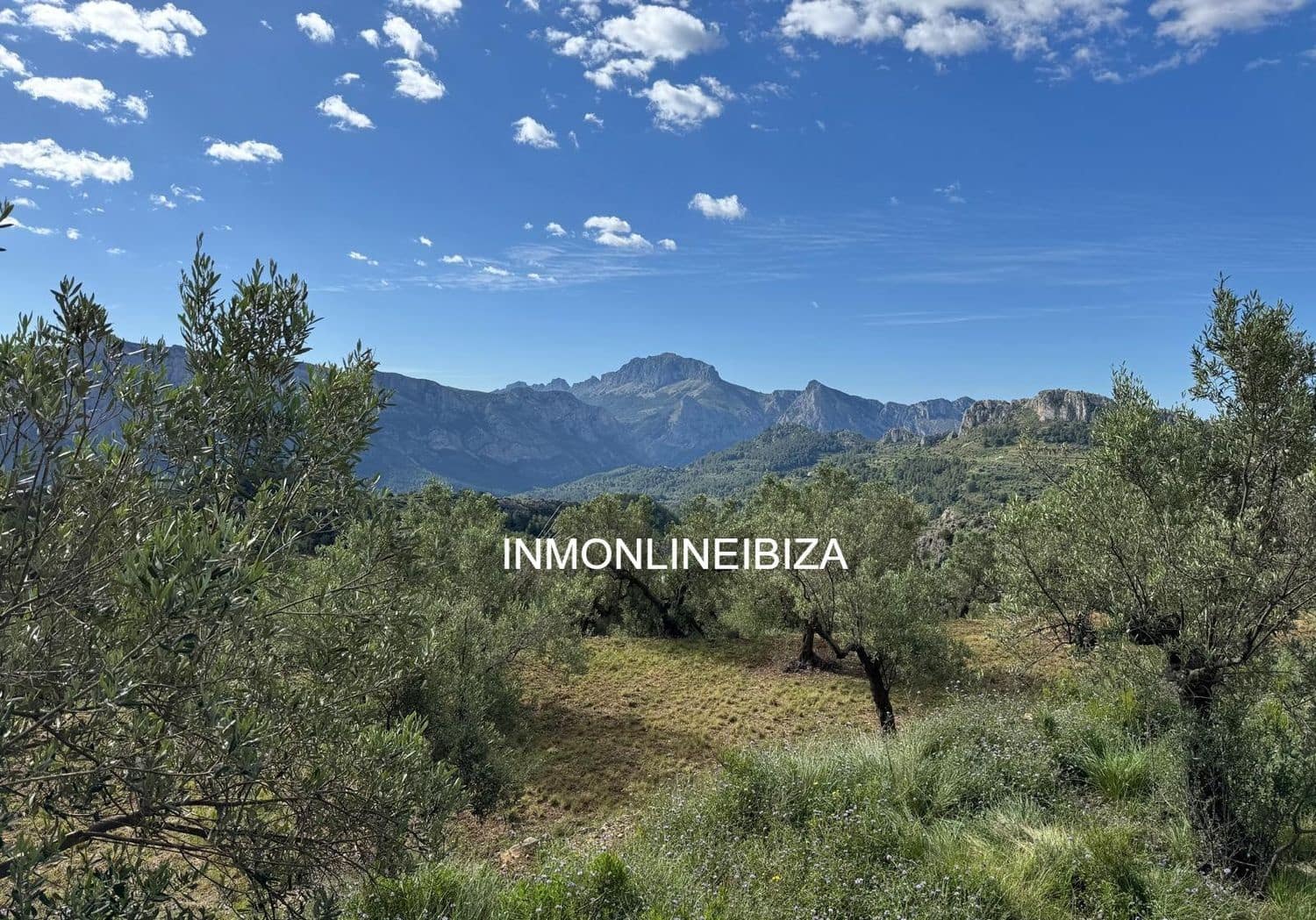 Undeveloped Land for sale in Tarbena - € 65,000 (Ref: 9835169)