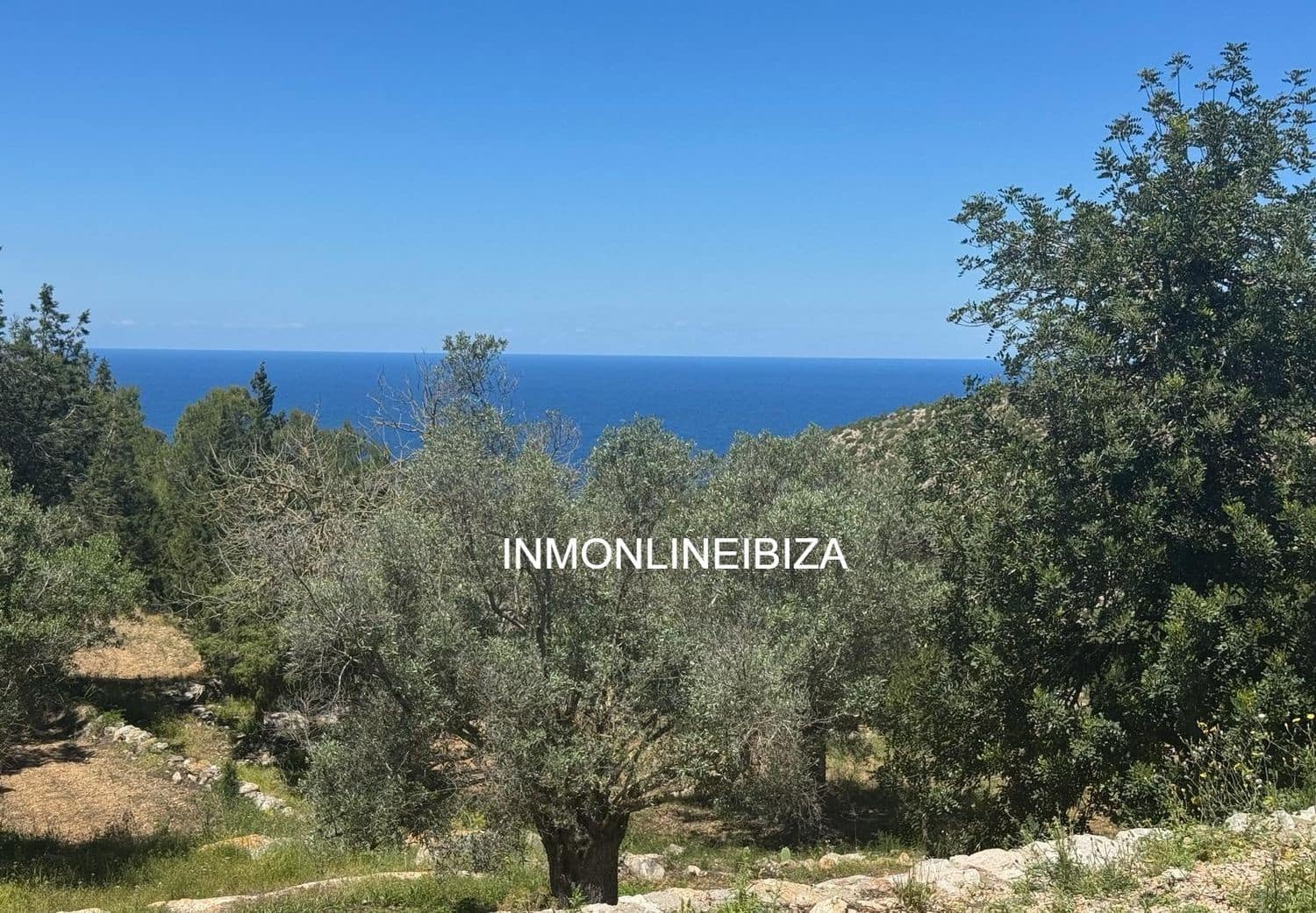 5 bedroom Villa for rent in Sant Joan de Labritja with pool garage - € 8,000 (Ref: 9838733)