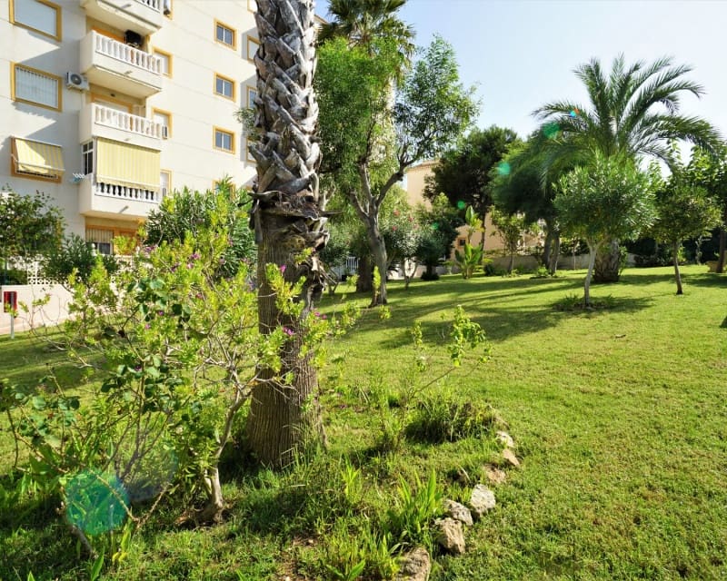 2 makuuhuone Huoneisto myytävänä paikassa Torrevieja mukana uima-altaan - 149 900 € (Ref: 10008167)