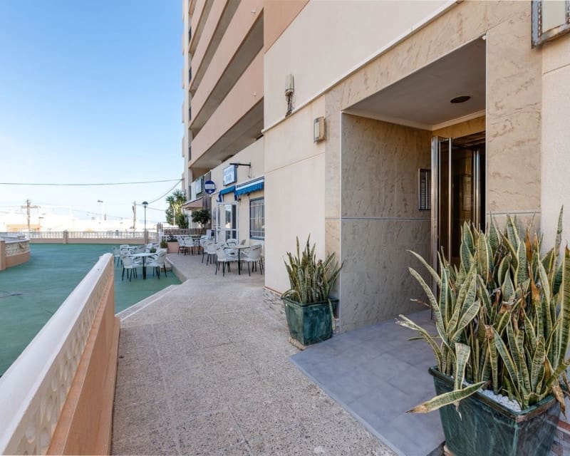 Appartement de 2 chambres à louer à Torrevieja - 1 000 € (Ref: 10033159)