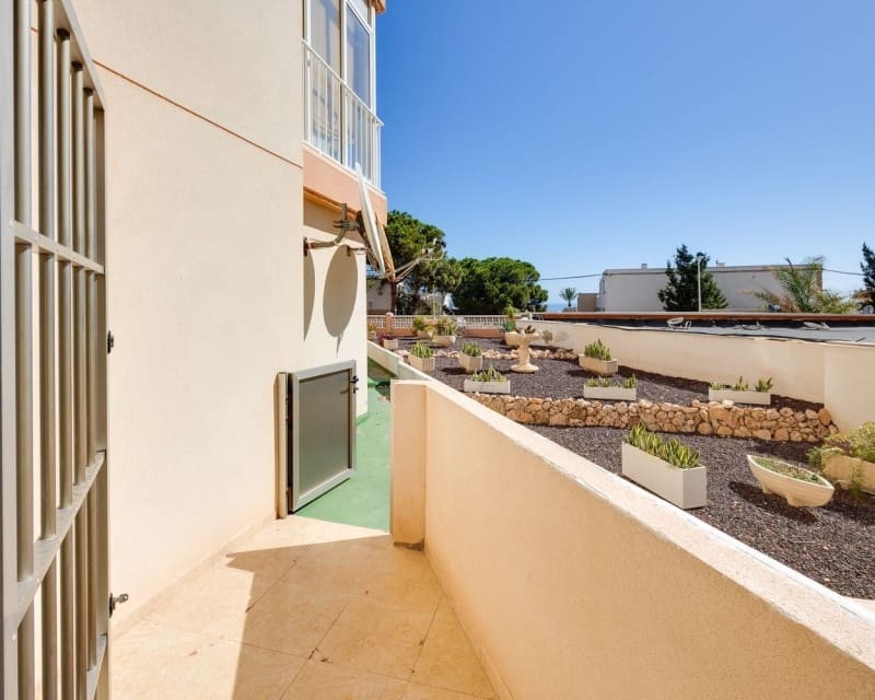 Appartement de 2 chambres à louer à Torrevieja - 1 000 € (Ref: 10033159)