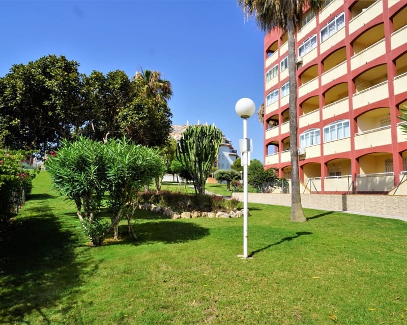 Lejlighed til salg i Torrevieja med swimmingpool - € 99.000 (Ref: 10134855)