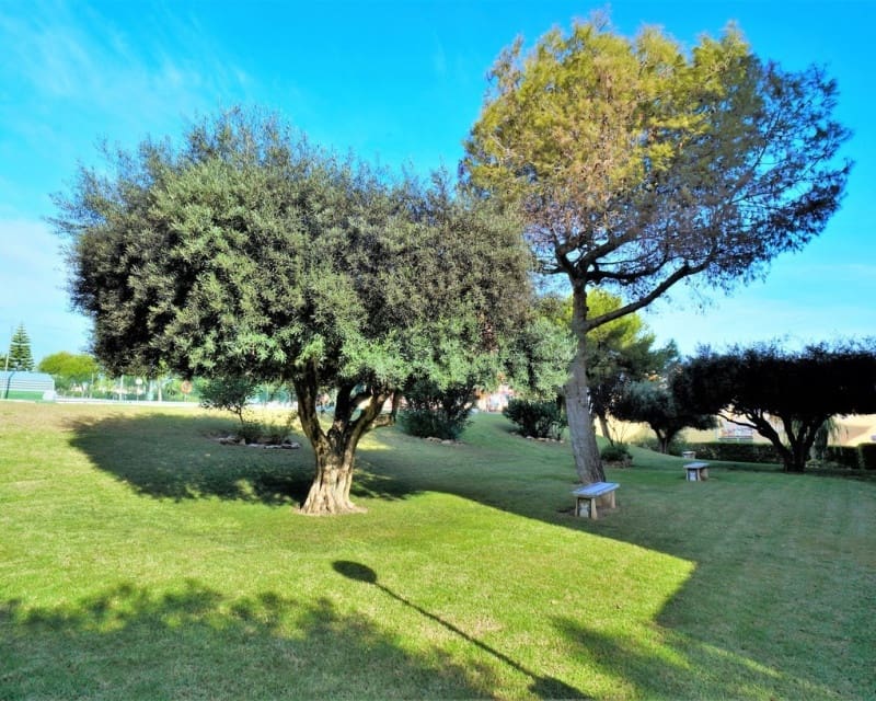 Lejlighed til salg i Torrevieja med swimmingpool - € 99.000 (Ref: 10134855)