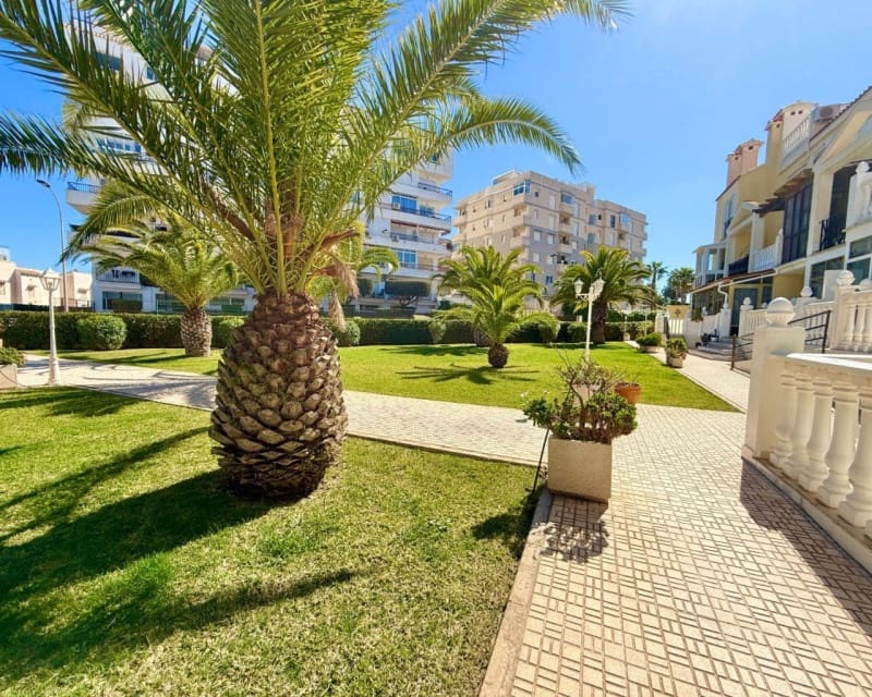 1 makuuhuone Huoneisto myytävänä paikassa Torrevieja mukana uima-altaan - 139 900 € (Ref: 10140305)