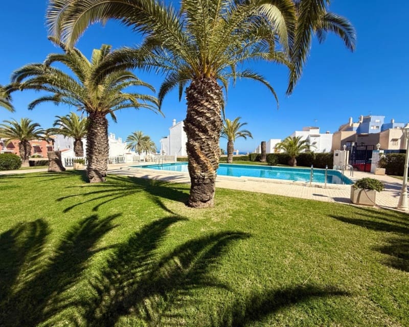 1 makuuhuone Huoneisto myytävänä paikassa Torrevieja mukana uima-altaan - 139 900 € (Ref: 10140305)