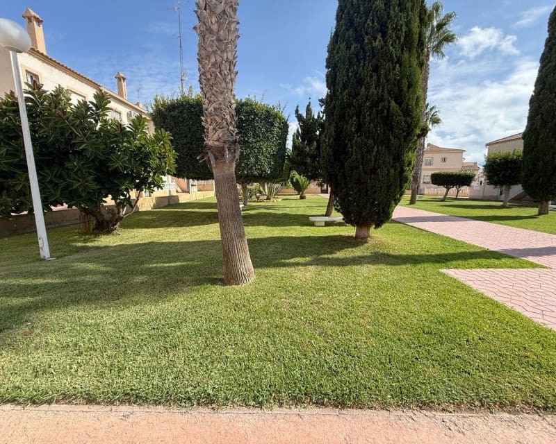 3 bedroom Apartment for rent in Aguas Nuevas with pool garage - € 1,100 (Ref: 10162398)