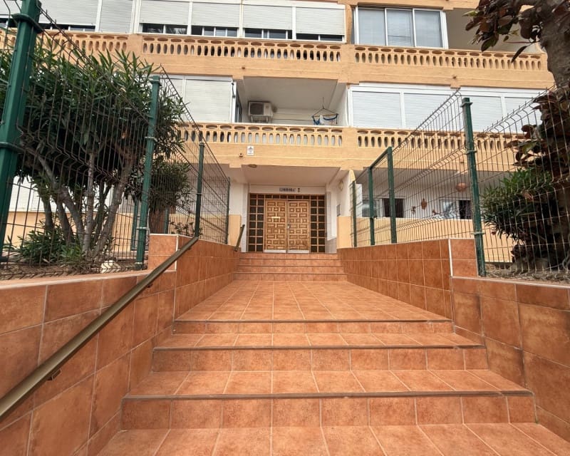 1 soverom Leilighet til leie i Torrevieja - € 775 (Ref: 10163219)