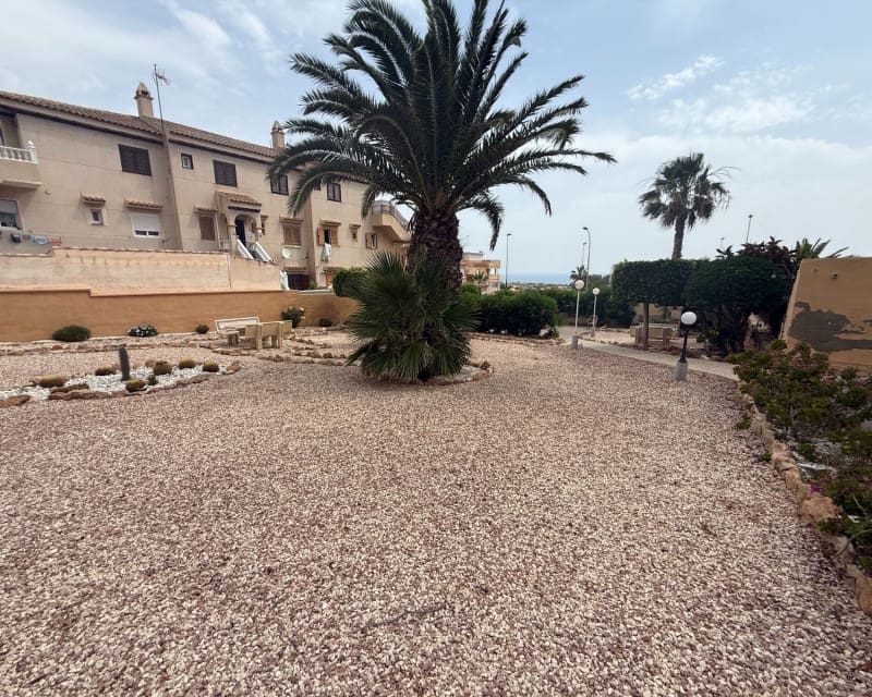 1 soverom Leilighet til leie i Torrevieja - € 775 (Ref: 10163219)