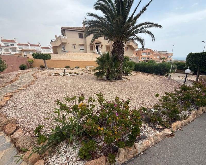 1 soverom Leilighet til leie i Torrevieja - € 775 (Ref: 10163219)