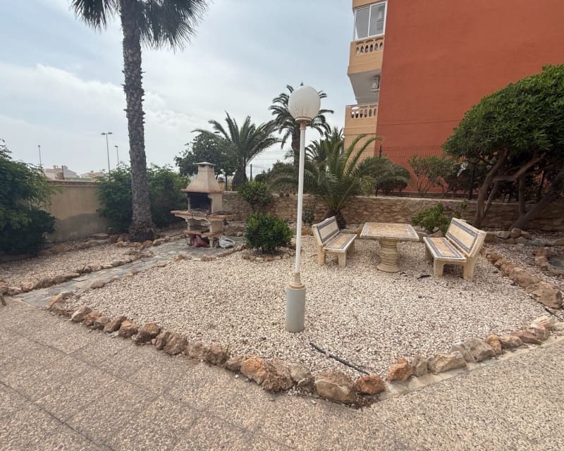 1 soverom Leilighet til leie i Torrevieja - € 775 (Ref: 10163219)