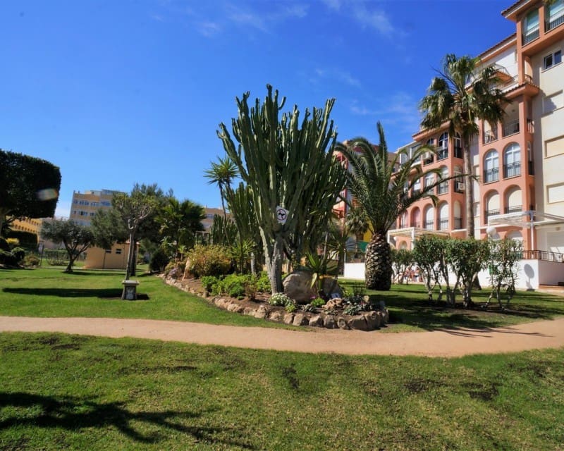 2 soveværelse Lejlighed til leje i Torrevieja med swimmingpool - € 750 (Ref: 5523523)