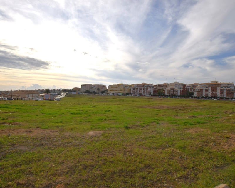 2 slaapkamer Appartement te koop in La Mata met zwembad - € 295.000 (Ref: 7168679)