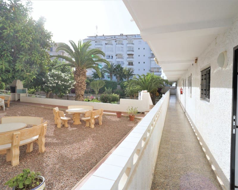 1 soveværelse Lejlighed til leje i Torrevieja med garage - € 650 (Ref: 7180591)