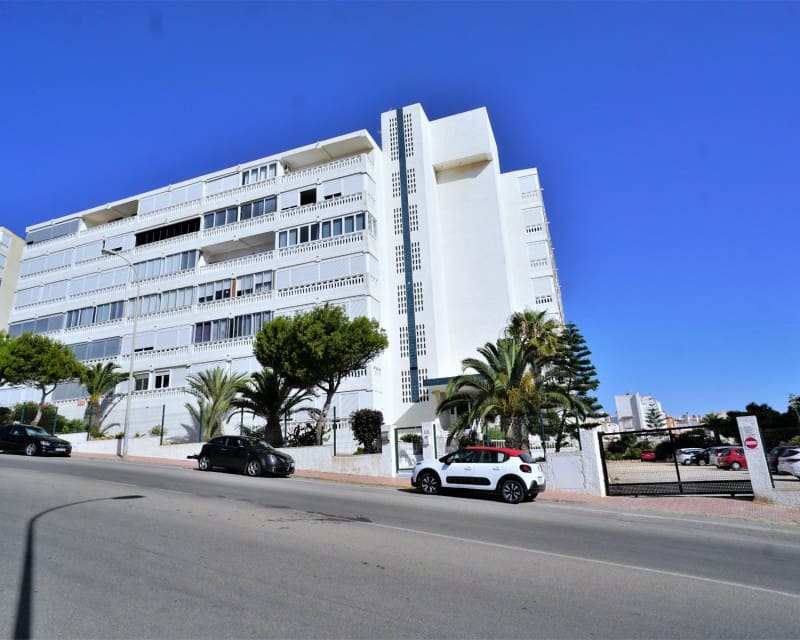1 soveværelse Lejlighed til leje i Torrevieja med garage - € 650 (Ref: 7180591)