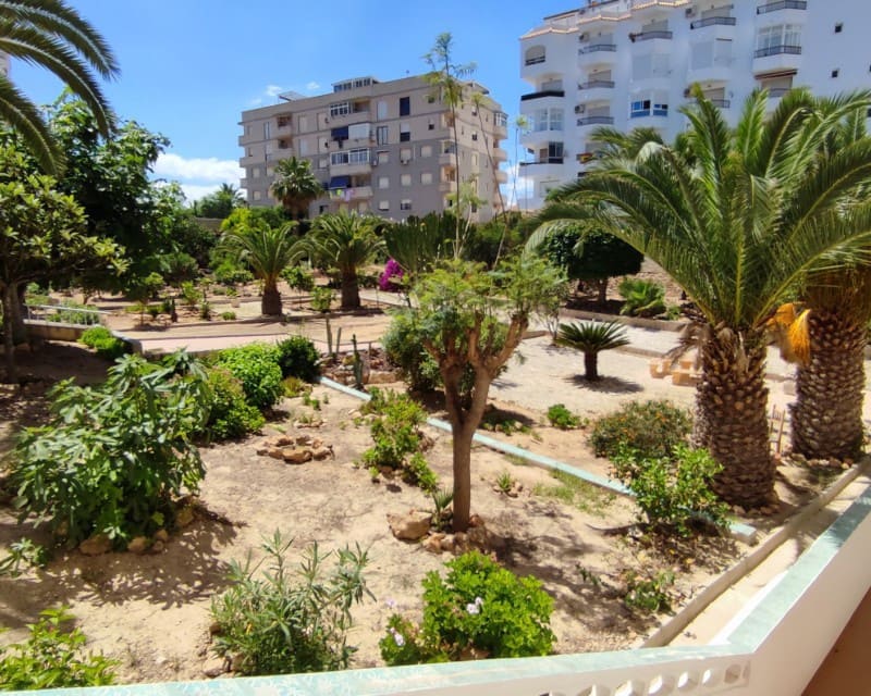 1 soveværelse Lejlighed til leje i Torrevieja med garage - € 650 (Ref: 7180591)