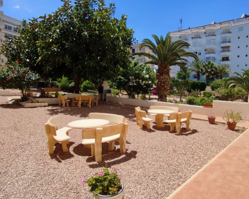 1 soveværelse Lejlighed til leje i Torrevieja med garage - € 650 (Ref: 7180591)