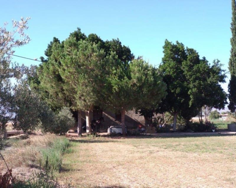 1 soveværelse Finca/Landehus til salg i Callosa de Segura - € 260.000 (Ref: 8246897)