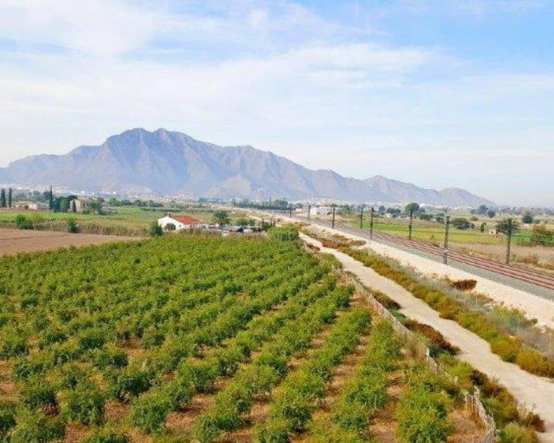 1 soveværelse Finca/Landehus til salg i Callosa de Segura - € 260.000 (Ref: 8246897)