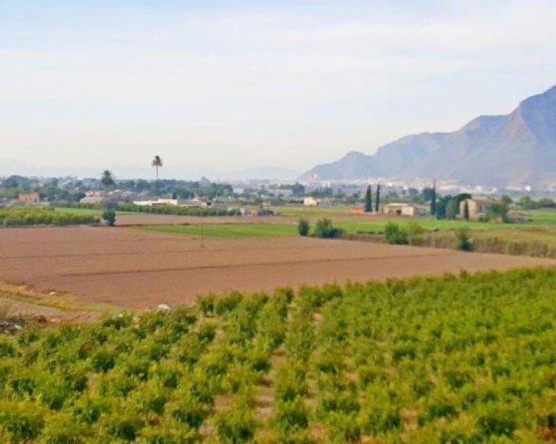 1 soveværelse Finca/Landehus til salg i Callosa de Segura - € 260.000 (Ref: 8246897)