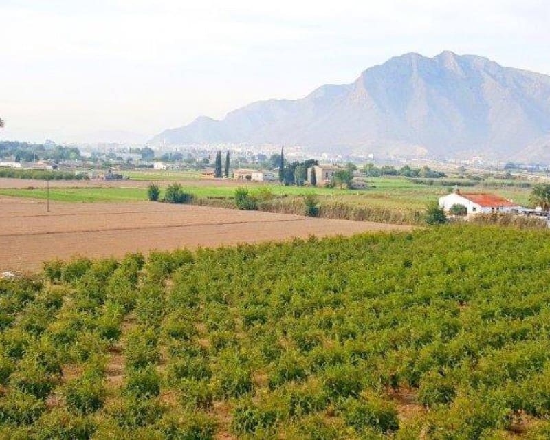 1 soveværelse Finca/Landehus til salg i Callosa de Segura - € 260.000 (Ref: 8246897)