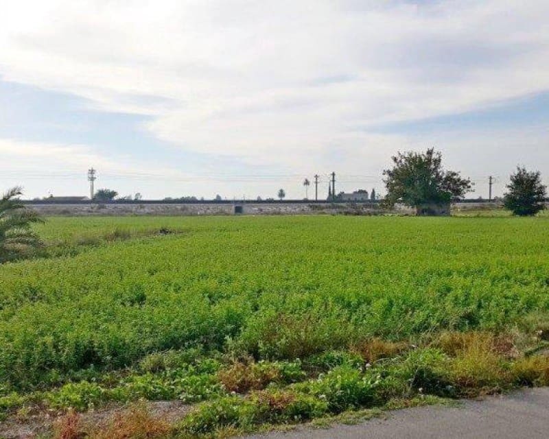 1 soveværelse Finca/Landehus til salg i Callosa de Segura - € 260.000 (Ref: 8246897)