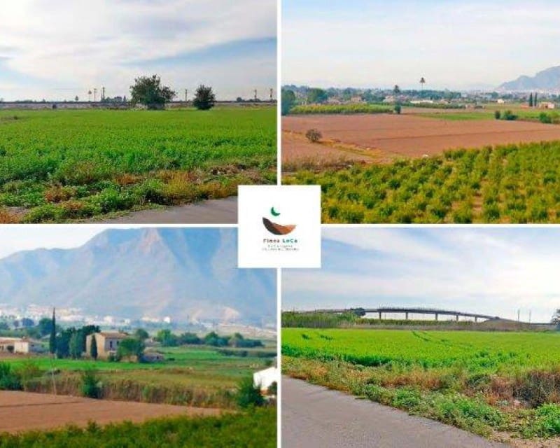 1 soveværelse Finca/Landehus til salg i Callosa de Segura - € 260.000 (Ref: 8246897)