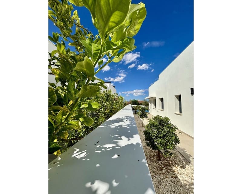 3 Zimmer Villa zu verkaufen in Benijofar mit Pool - 478.732 € (Ref: 8585415)