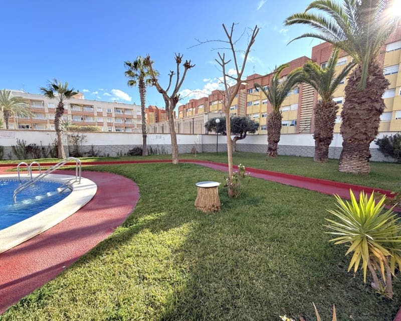 2 sovrum Lägenhet att hyra i Torrevieja med pool - 750 € (Ref: 8893659)