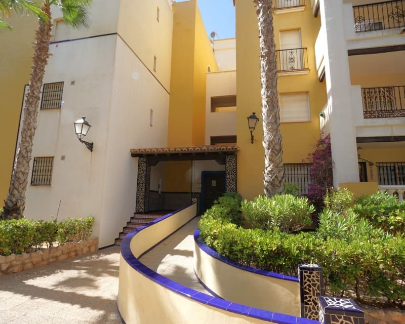 2 bedroom Apartment for rent in Torrevieja - € 850 (Ref: 9199928)